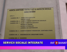 Servicii sociale integrate