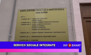Servicii sociale integrate