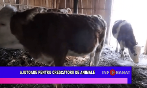 Ajutoare pentru crescătorii de animale
