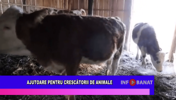 Ajutoare pentru crescătorii de animale