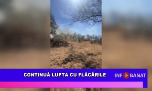 Continuă lupta cu flăcările