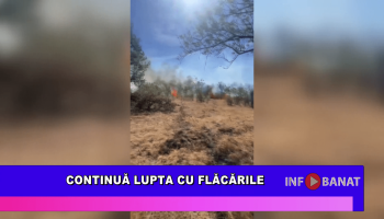 Continuă lupta cu flăcările