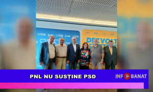 PNL nu susține  PSD