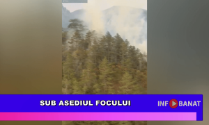 Sub asediul focului