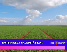 Notificarea calamităților