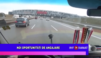 Noi oportunități de angajare
