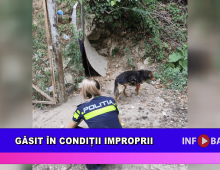 Găsit în condiții improprii