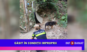 Găsit în condiții improprii