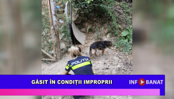 Găsit în condiții improprii
