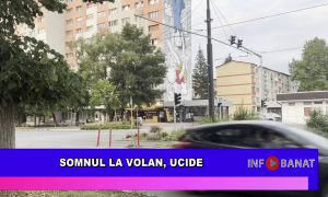 Somnul la volan, ucide