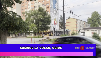 Somnul la volan, ucide