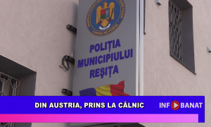 Din Austria, prins la Câlnic