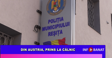 Din Austria, prins la Câlnic