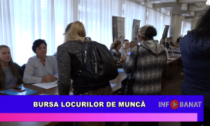 Bursa locurilor de muncă
