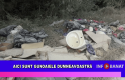 Aici sunt gunoaiele dumneavoastră