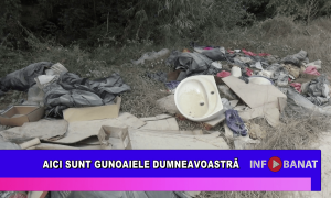 Aici sunt gunoaiele dumneavoastră