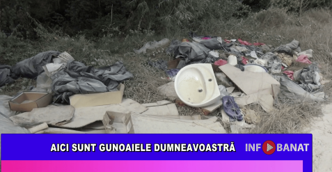 Aici sunt gunoaiele dumneavoastră