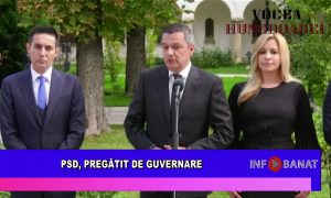PSD, pregătit de guvernare
