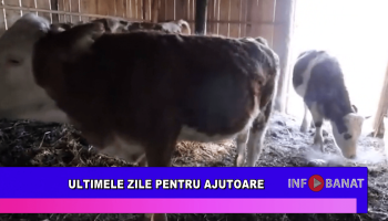 Ultimele zile pentru ajutoare