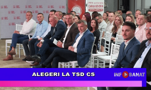 Alegeri la TSD