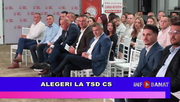 Alegeri la TSD