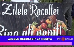 Zilele Recoltei la Reșița
