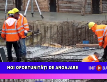 Noi oportunități de angajare