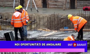 Noi oportunități de angajare
