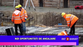 Noi oportunități de angajare