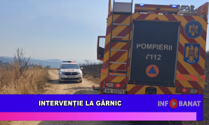 Intervenție la Gârnic