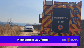 Intervenție la Gârnic