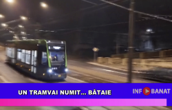 Un tramvai numit…    bătaie