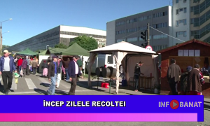 Încep Zilele Recoltei