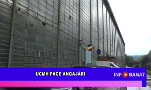 UCMH face angajări