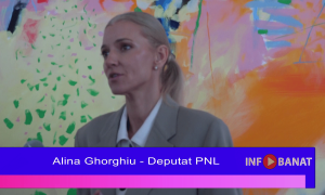 Un guvern interimar generează multe minusuri