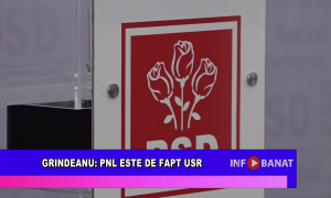 Grindeanu: PNL este de fapt USR