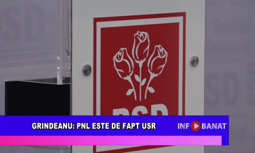 Grindeanu: PNL este de fapt USR