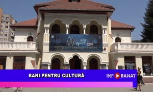 Bani pentru cultură
