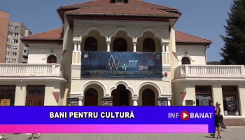 Bani pentru cultură