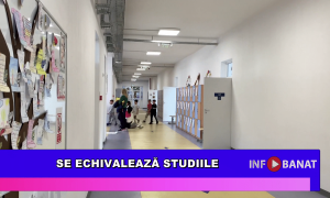 Se echivalează studiile