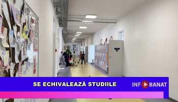 Se echivalează studiile