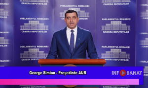 AUR nu participă la vot