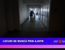 Locuri de muncă prin AJOFM