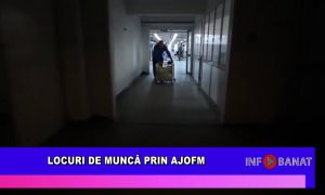 Locuri de muncă prin AJOFM