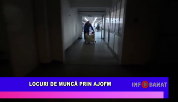 Locuri de muncă prin AJOFM