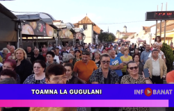 Toamna la Gugulani