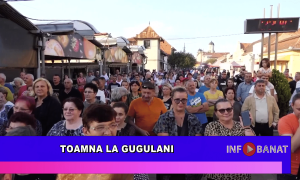 Toamna la Gugulani