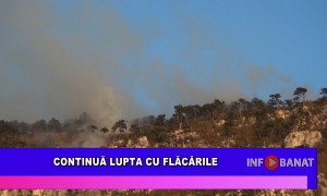 Continuă lupta cu flăcările