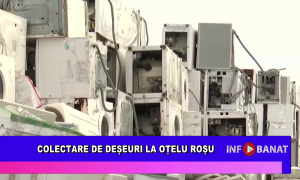 Colectare de deșeuri la Oțelu Roșu