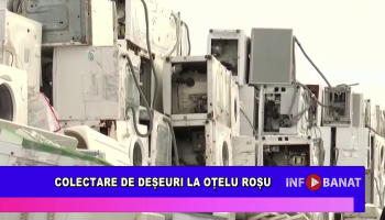 Colectare de deșeuri la Oțelu Roșu
